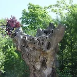 Puerta Del Cañón 1 *