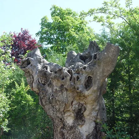 El Balcon Del Cañon *