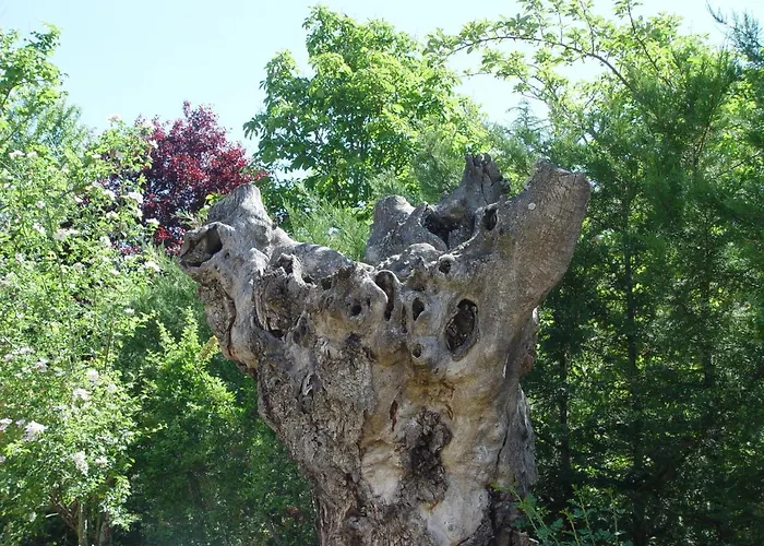 Puerta Del Canon 1 *